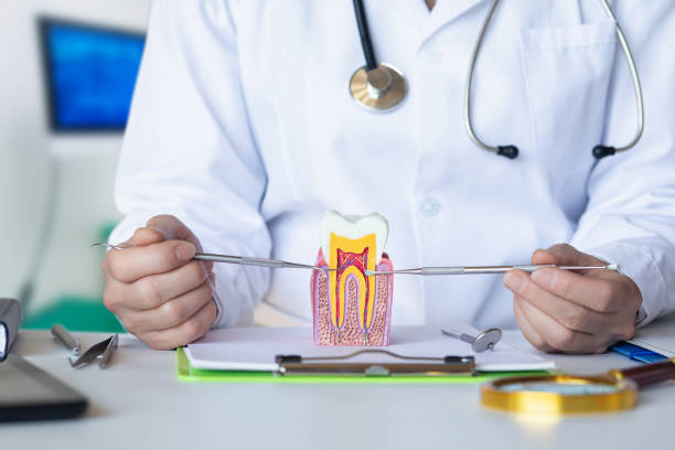 Best After-Hours Emergency Dentist in Glen Raven, NC
